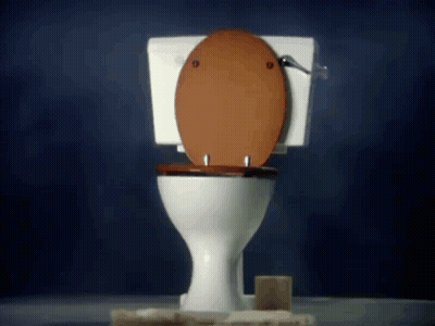 White Toilet With Brown Seat GIF