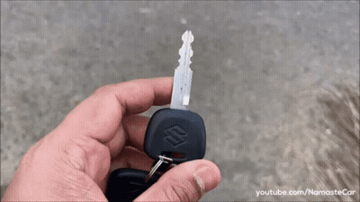 White Van With Dog On Side Parked GIF