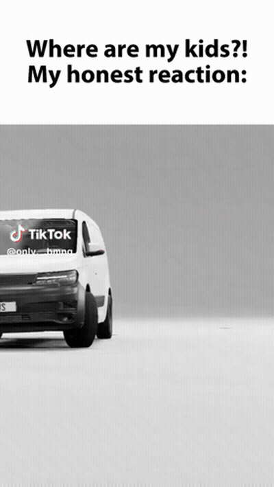White Van With TikTok Sticker On Windshield GIF