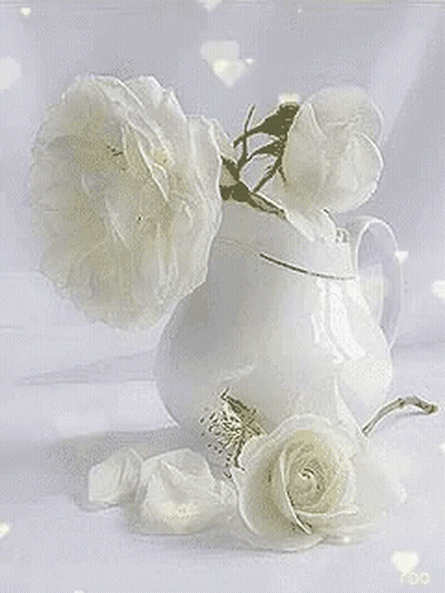 White Vase Filled With White Roses GIF