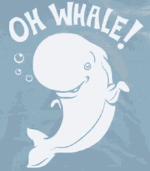 White Whale Shark GIF
