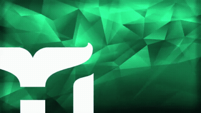 White Whale Tail On Green Background GIF