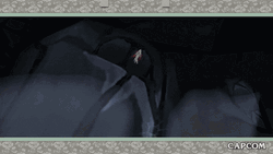 White Wolf Okami Amaterasu High Fall GIF