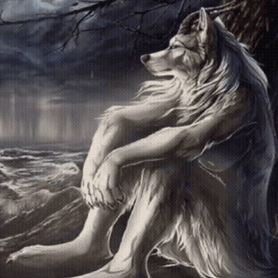 White Wolf Sitting On Rock GIF