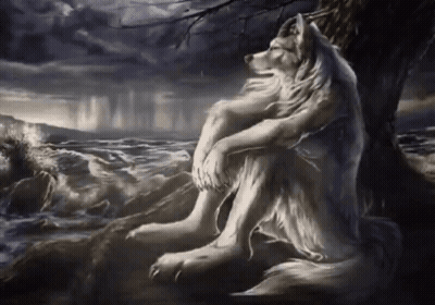 White Wolf Sitting Under Tree GIF