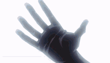 Whitebeard Fight Scenes One Piece Anime GIF