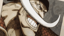 Whitebeard One Piece Anime Wanted Reward Prize Money GIF
