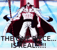 Whitebeard One Piece Real Anime Meme GIF