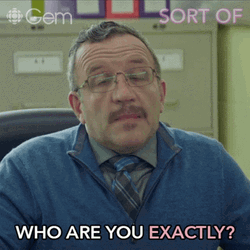 Who Are You Exactly GIF