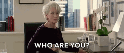 Who Are You Meryl Streep  GIF