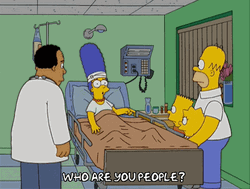 Who Are You People Margie Simpson GIF