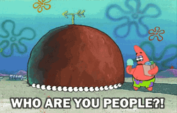Who Are You People Patrick Starr GIF