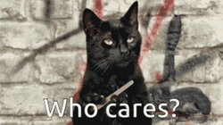 Who Cares Black Angry Cat GIF