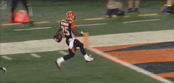 Who Dey Bengals Game Highlights GIF