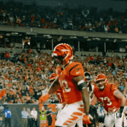 Who Dey Bengals Player Hyped  GIF