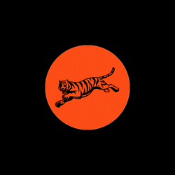 Who Dey Cincinnati Bengals Animation GIF