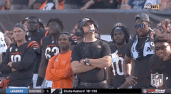 Who Dey Cincinnati Bengals Celebrating Victory GIF