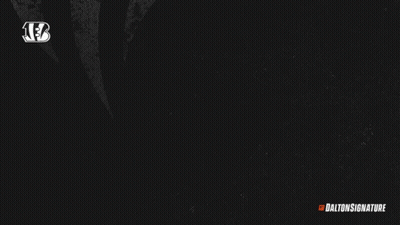 Who Dey In Orange Letters On Black Background GIF