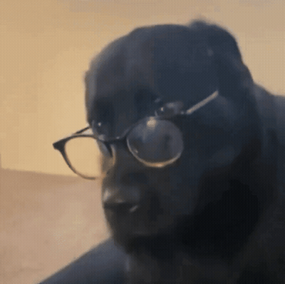 Who Is He Video Game Screenshot GIF