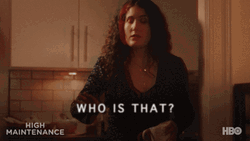 Who Is That Kate Berlant High Maintenance GIF