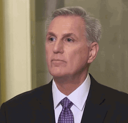 Who Is That Politician Kevin McCarthy GIF