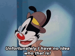 Who Is That Yakko Warner Animaniacs GIF