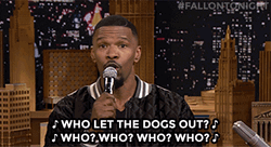 Who Let The Dogs Out Jamie Foxx Jimmy Fallon GIF