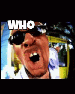 Who Let The Dogs Out Who Who Who Who GIF