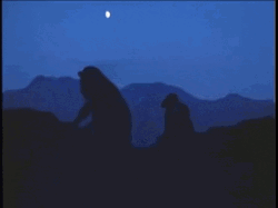 Who's Coming With Me When You Leave GIF