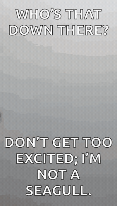 Who 'S That Down There ? Don 'T Get Too Excited ; I 'M Not A Seagull . GIF