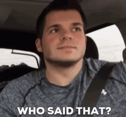 Who Said That Guy Man Wearing Seatbelt GIF