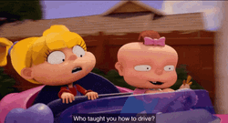 Who Taught You To Drive GIF