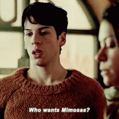 Who Wants Mimosa Felix Dawkins GIF