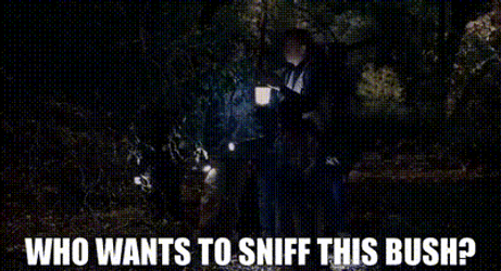 Who Wants To Sniff This Bush GIF