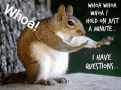 Whoa Hold On Just A Minute I Have Questions Rat GIF