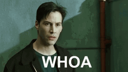 Whoa Woah Neo Matrix Keanu Reeves GIF