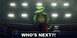 Whos Next Crocodile Wrestler Asks GIF