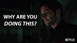 Why Are You Doing This GIF