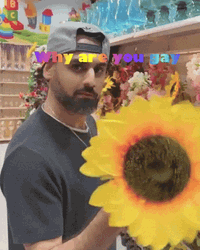 Why Are You Gay Gay People Is Beautiful GIF
