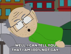 Why Are You Gay I Am 100% Not GIF