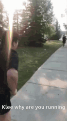 Why Are You Running After Klee GIF