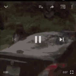 Why Are You Running Bear Face Swap GIF
