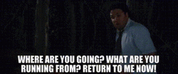 Why Are You Running Seth Rogen GIF