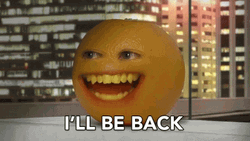 Why Do People Say I'll Be Back GIF