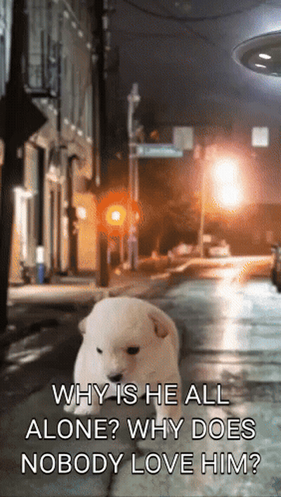 Why Is He All Alone Why Does Nobody Love Him Poster GIF