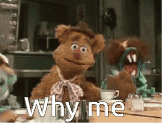 Why Me Frustrated Puppet Face Palm GIF