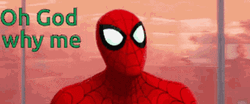 Why Me Spiderman Face Palm GIF
