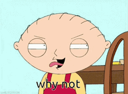 Why Not Stewie Griffin Family Guy  GIF