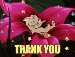 Why Thank You Elephant Flower GIF
