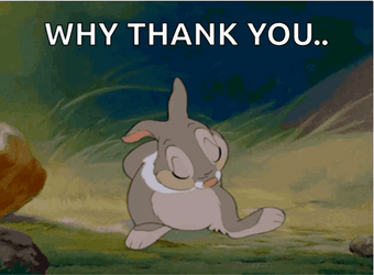 Why Thank You Thumper Rabbit Bambi GIF